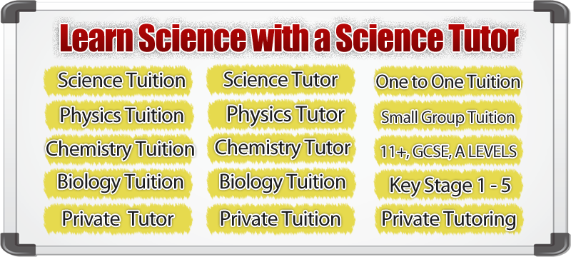 science tutor