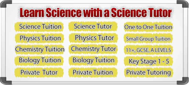 science revision